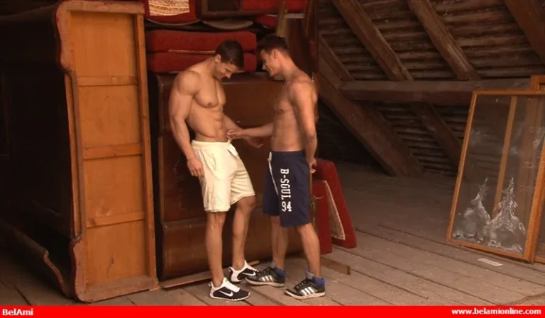 Kris evans andrei karenin x1